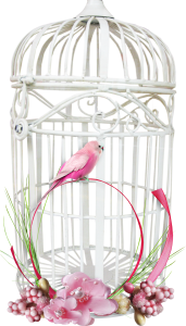 Cage bird PNG-41392